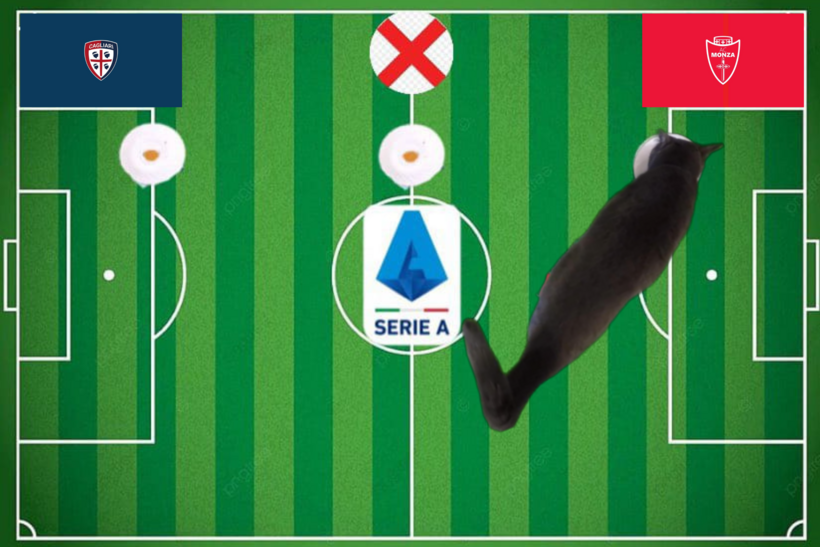 Mèo tiên tri dự đoán kết quả trận Monza vs Cagliari