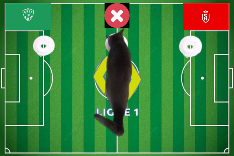 Dự đoán của chú mèo tiên tri trước trận St.Etienne vs Reims
