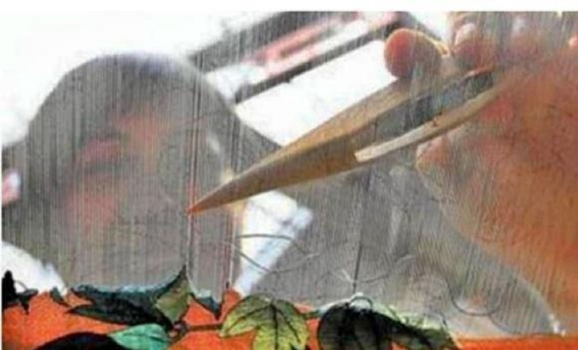 Những tưởng là đồ bỏ đi nhưng ít ai biết đây chính là "kho báu đắt giá". Ảnh: Sohu