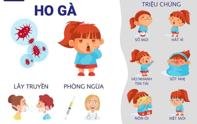 Các triệu chứng của bệnh ho gà. Ảnh: VNVC/ Báo Đồng Nai