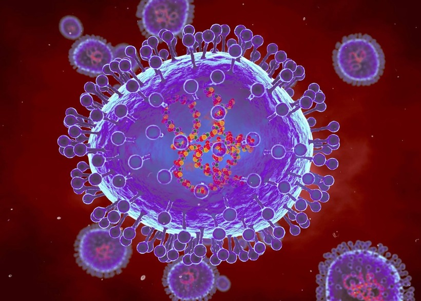Minh họa máy tính về các hạt của metapneumovirus ở người (HMPV). Ảnh: clinicaladvisor.com/Báo Tin tức