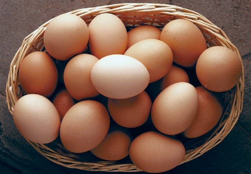 Vị trí lý tưởng nhất để bảo quản trứng là ở ngăn mát bên trong tủ lạnh