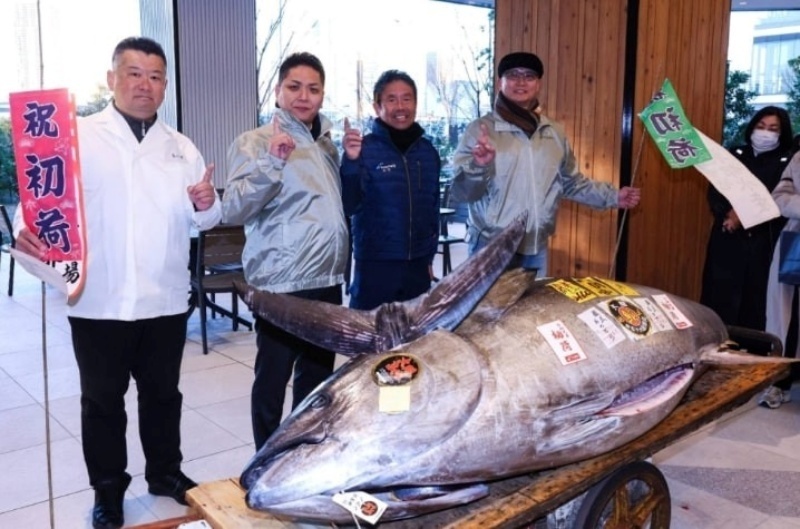 Con cá ngừ vây xanh đã được bán với giá 207 triệu yên (33,4 tỷ đồng). Ảnh: Japan Times.