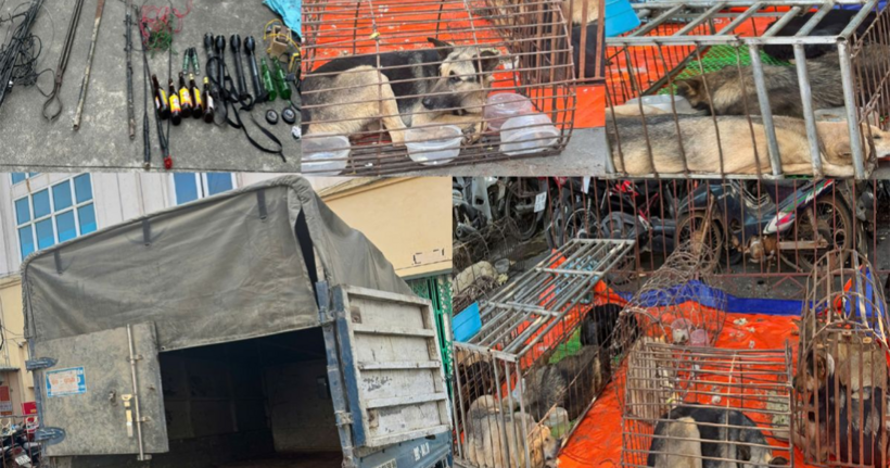 Tang vật vụ án.