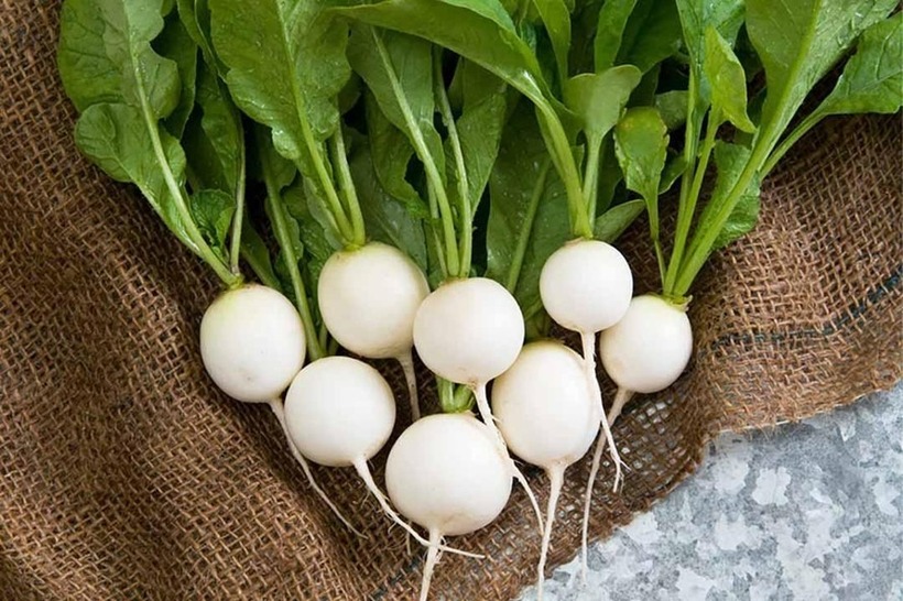 Củ cải trắng là loại rau củ quen thuộc trong bữa ăn hàng ngày của người Việt.