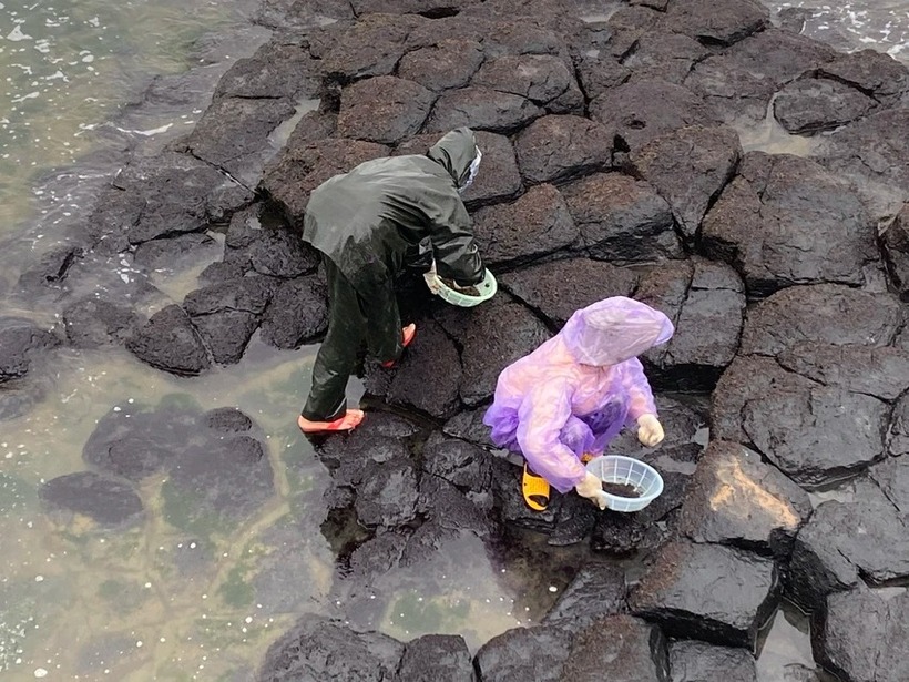 Khu vực đá Hóc Mó, nơi 2 người bị rơi xuống biển khi cạo rong mứt. (Ảnh: PLO)