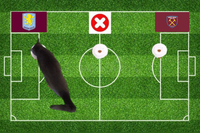 Mèo tiên tri dự đoán kết quả trận Aston Villa vs West Ham