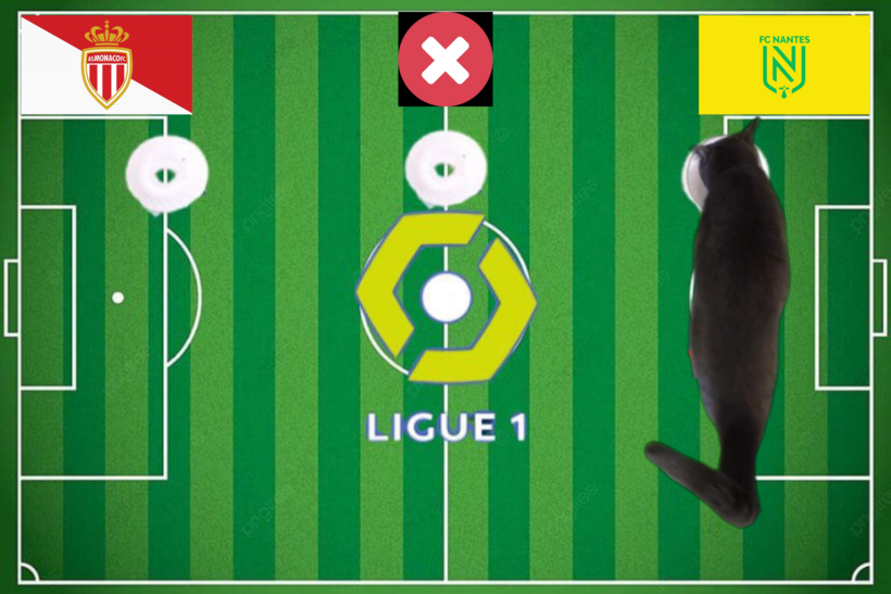 Mèo tiên tri dự đoán kết quả trận Nantes vs Monaco