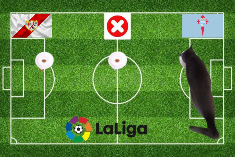 Dự đoán của chú mèo tiên tri trước trận Vallecano vs Celta Vigo