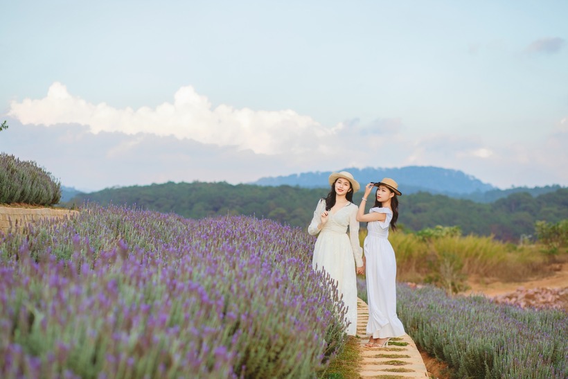 Cảm hứng từ loài hoa oải hương dịu dàng thơm ngát