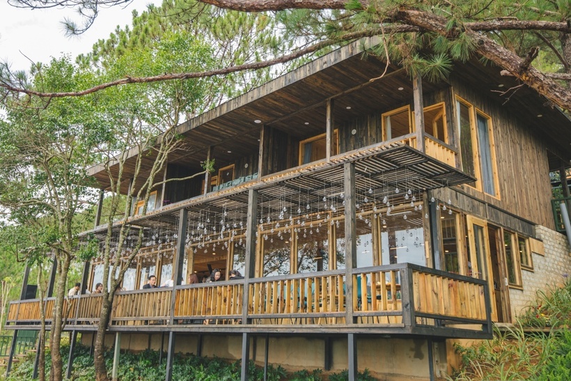 Quán cà phê nhà gỗ nằm trên ngọn đồi nhỏ giữa muôn vàn thông reo