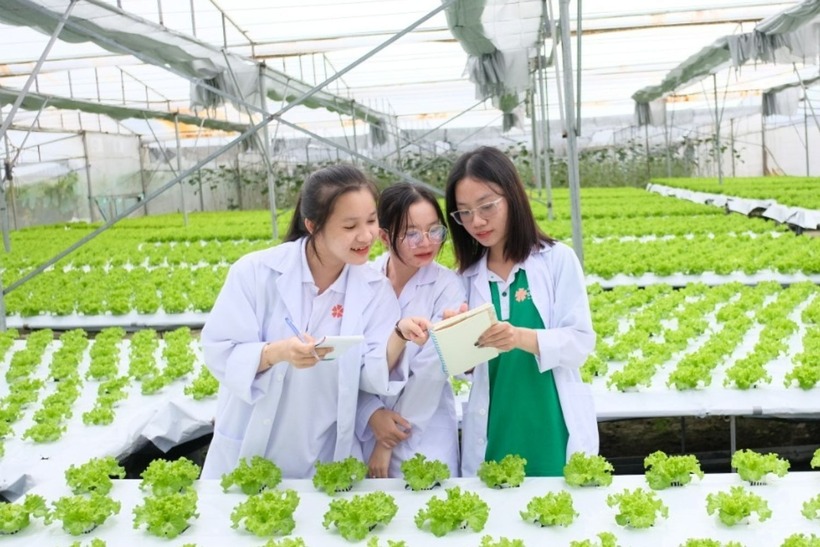 Ngành Nông nghiệp vẫn luôn được xem là ngành chủ lực, đóng vai trò quan trọng trong cơ cấu kinh tế của Việt Nam.