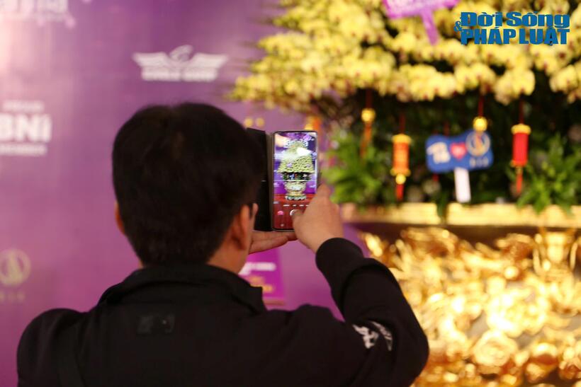 Chậu hoa lan "khủng" thu hút sự chú ý của nhiều khách hàng.