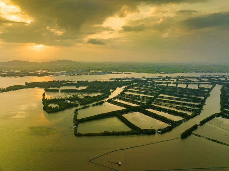Đầm Thị Nại được mệnh danh là lá phổi xanh của TP Quy Nhơn và là viên ngọc quý của tỉnh Bình Định. Ảnh minh họa.