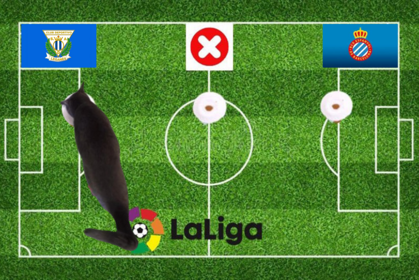 Mèo tiên tri dự đoán kết quả trận Espanyol vs Leganes