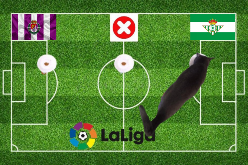 Mèo tiên tri dự đoán kết quả trận Valladolid vs Betis