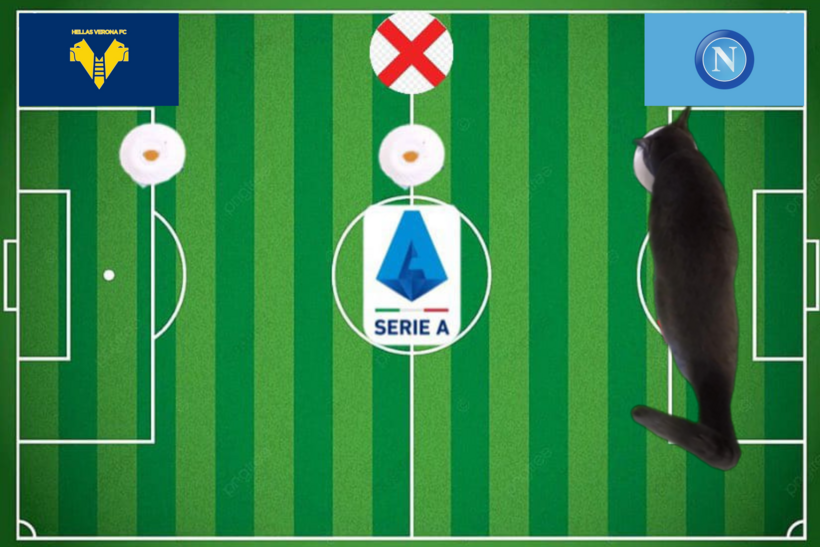 Mèo tiên tri dự đoán kết quả trận Napoli vs Verona