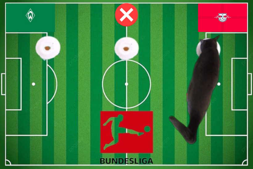 Mèo tiên tri dự đoán kết quả trận&nbsp;RB Leipzig vs Bremen