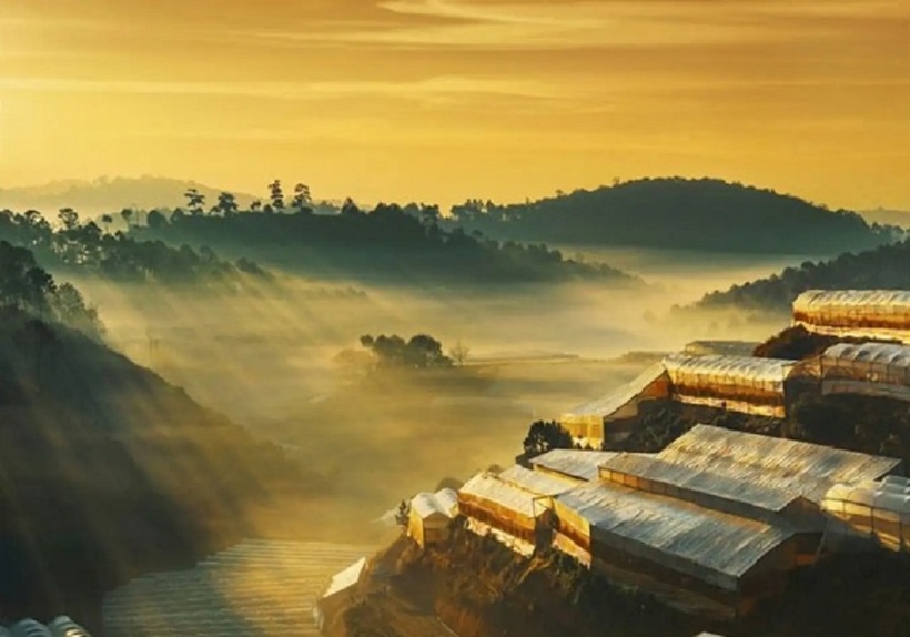 Cảnh đẹp thơ mộng ở Đà Lạt