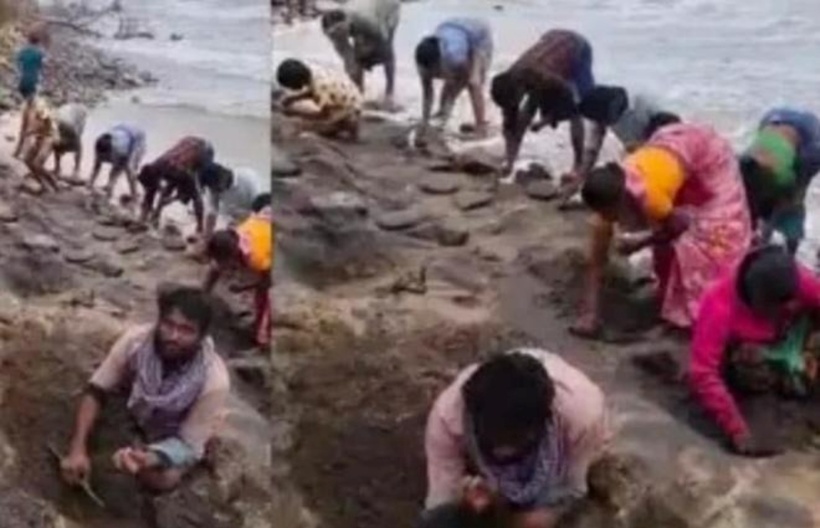 Kho báu bằng vàng trôi dạt vào bãi biển, dân làng thi nhau đi “hái lộc”. Ảnh: