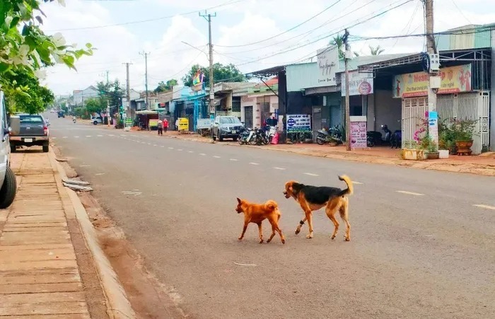 Ảnh minh họa. Ảnh: Báo Sức khỏe và Đời sống.