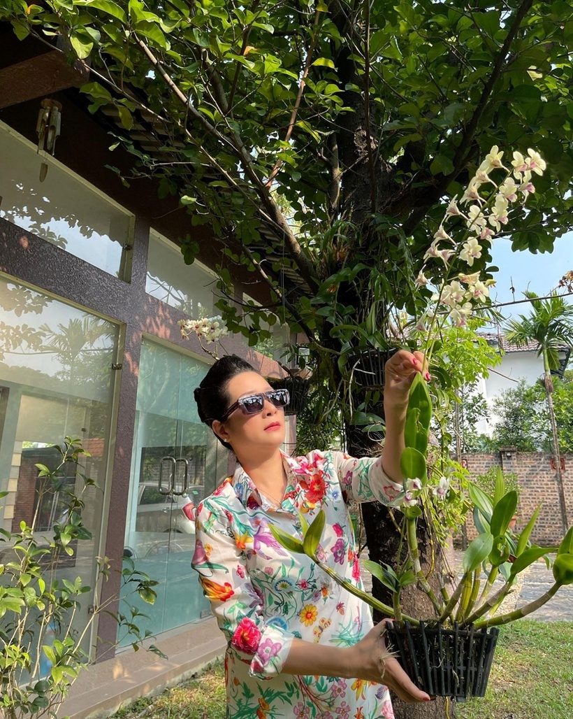 Căn nhà được thiết kế tuyệt đẹp với vật liệu gỗ và kính.