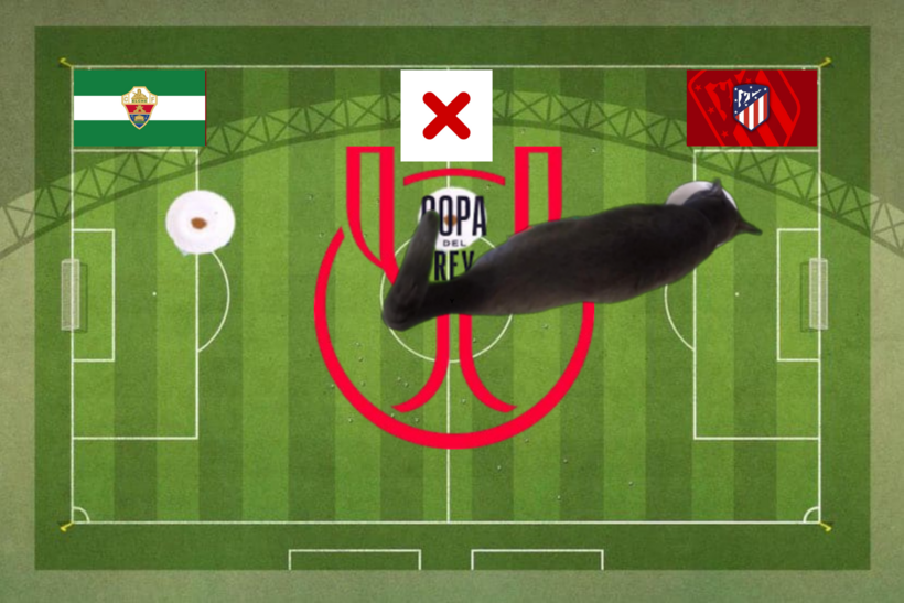 Mèo tiên tri dự đoán kết quả trận Elche vs Atletico Madrid.