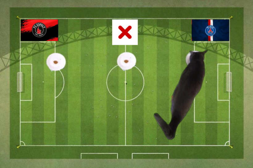 Mèo tiên tri dự đoán kết quả trận Espaly vs PSG.