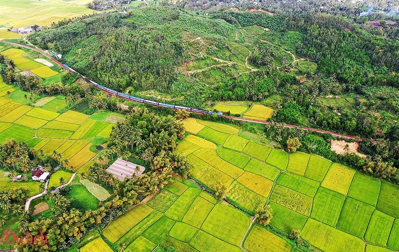 Khung cảnh miền Bắc hiện lên thật thanh bình với những cánh đồng lúa xanh mướt trải dài, ôm trọn những ngôi làng yên ả. Ảnh: Tạp chí Du lịch TP.HCM.