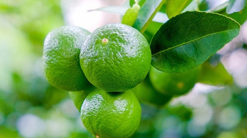 Chanh được làm gia vị trong các món ăn. Ảnh minh họa.