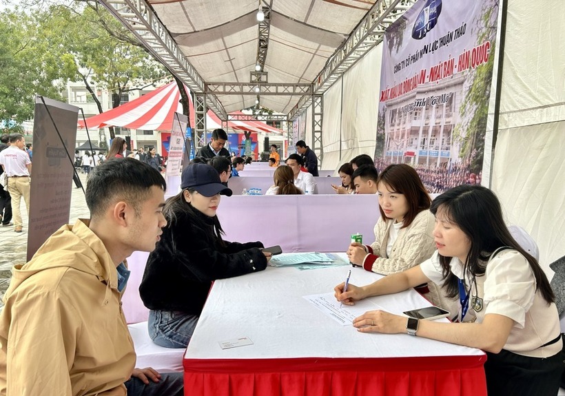 Nhiều người lao động có ý định tìm công việc mới sau Tết. Ảnh minh họa