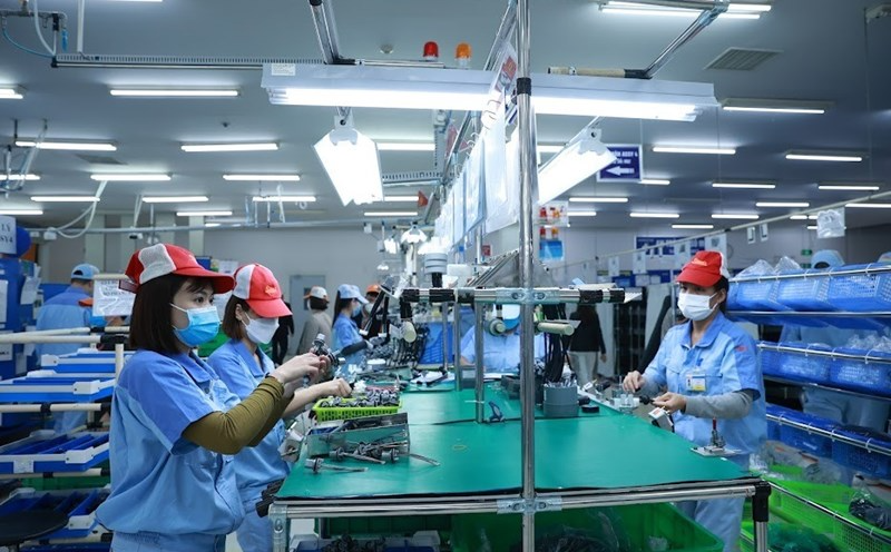 Đi xuất khẩu lao động có phải đóng BHXH ở Việt Nam không? Ảnh minh hoạ