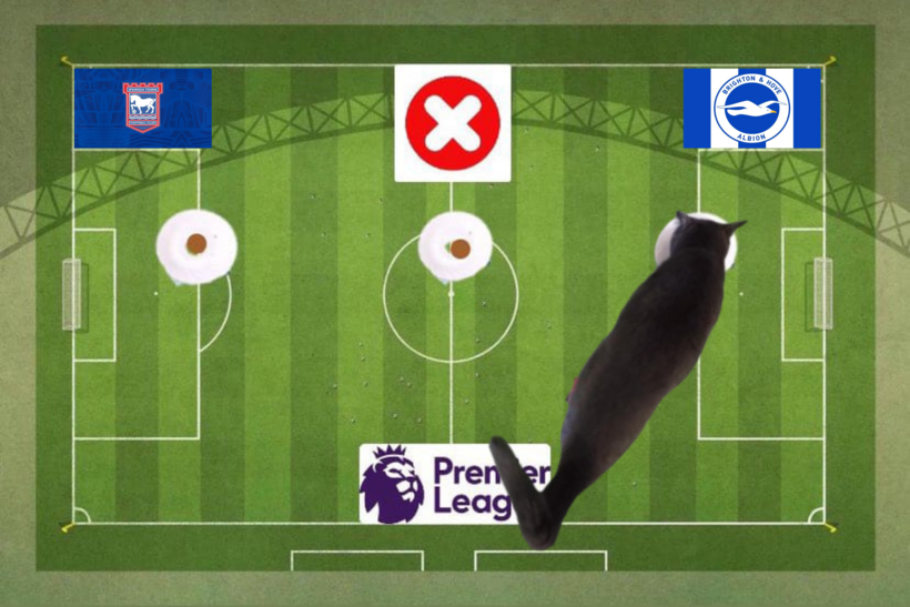 Dự đoán của chú mèo tiên tri trước trận Ipswich vs Brighton