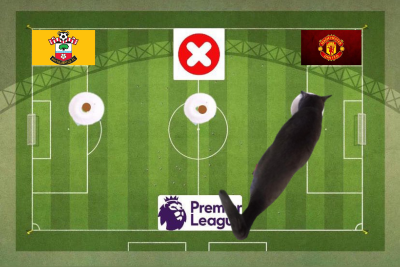 Mèo tiên tri dự đoán kết quả trận MU vs Southampton