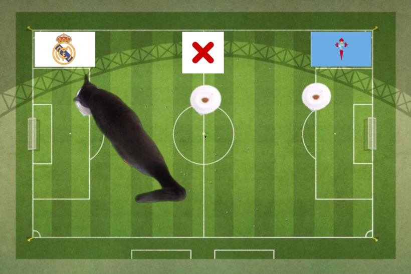 Mèo tiên tri dự đoán kết quả trận Real Madrid vs Celta Vigo