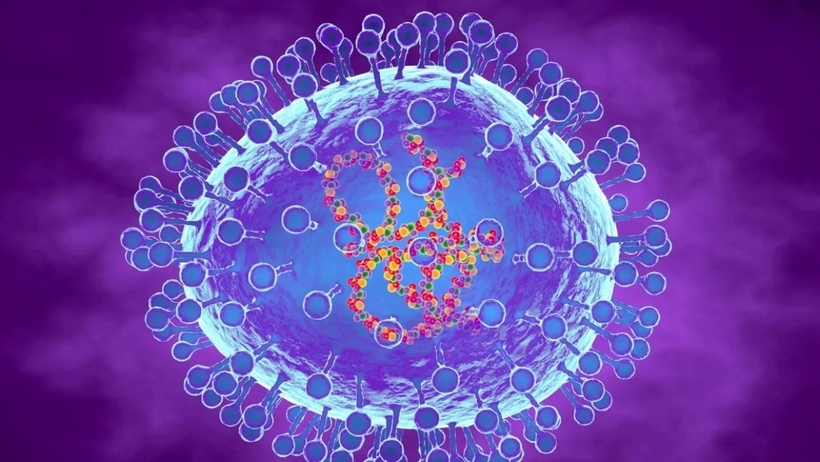 Hình ảnh hiển vi điện tử của HMPV. Ảnh: Science Photo Library RF