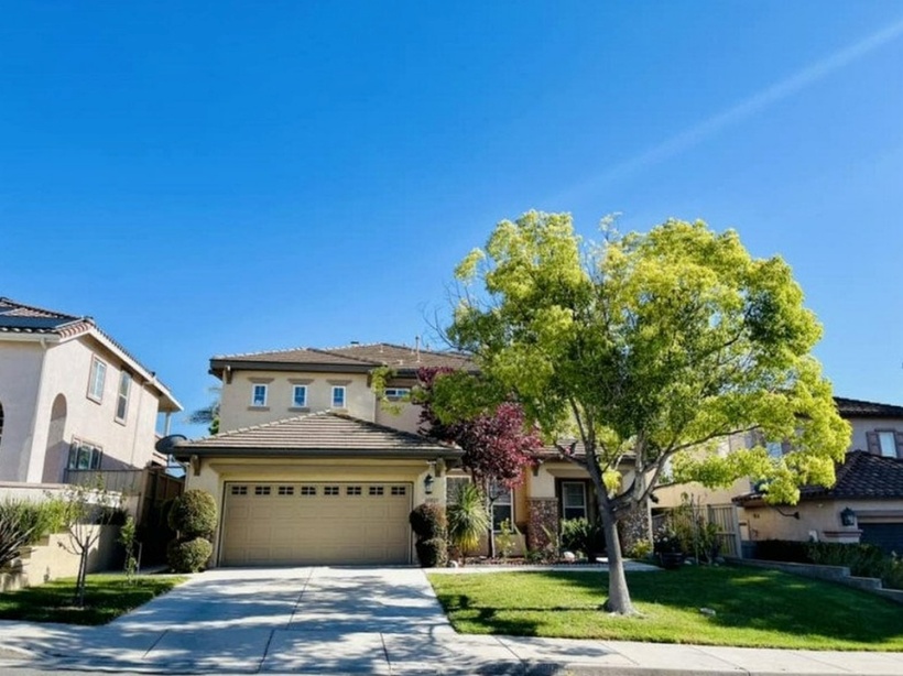 "Nhà em mới trồng thêm cây đào trước cửa, đào ta đấy năm sau hoa rực rỡ luôn ạ", Diệu Hương cho hay.