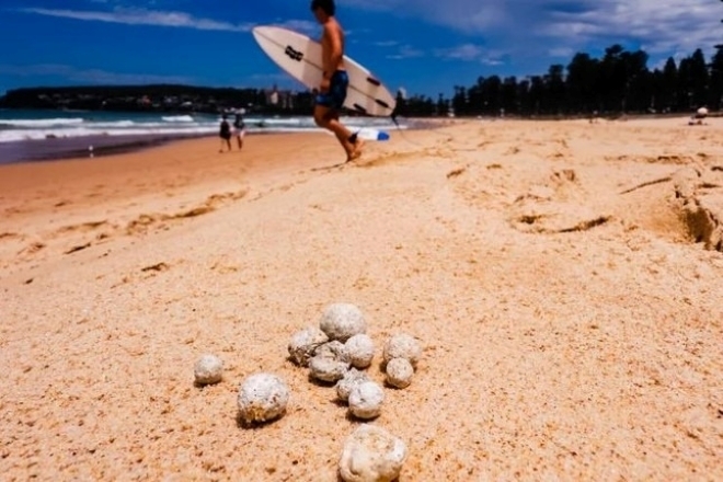 Australia đóng cửa hàng loạt bãi biển vì phát hiện ''vật thể lạ". Ảnh: James Brickwood.