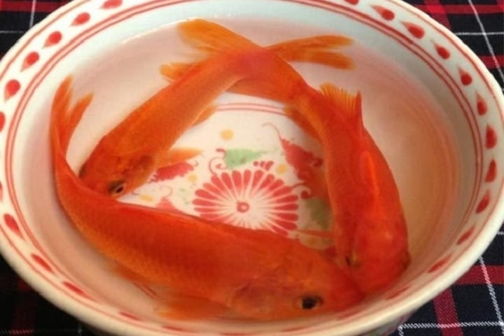 Vì sao mâm cỗ cúng ông Công ông Táo cần phải có cá chép?