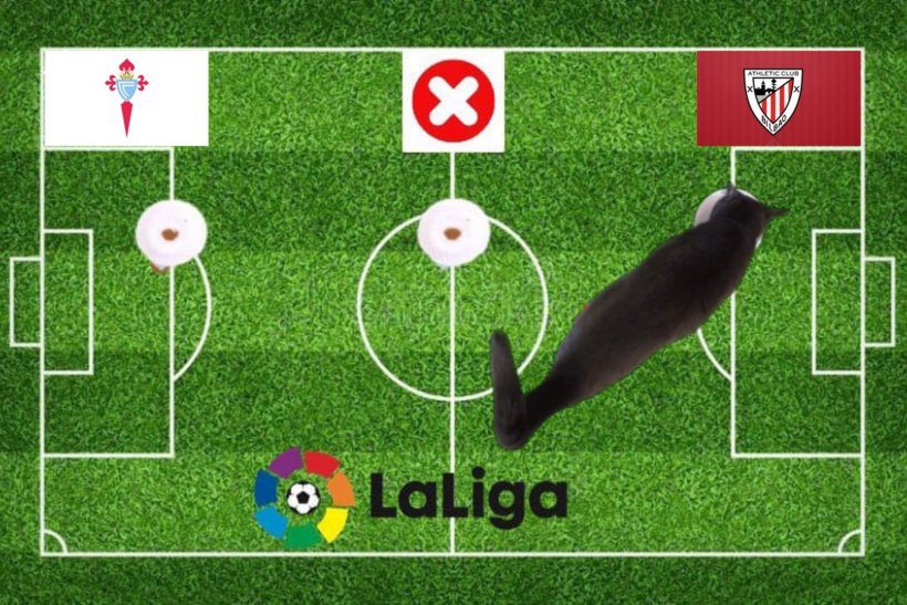 Dự đoán của chú mèo tiên tri trước trận Celta Vigo vs Bilbao