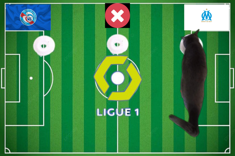 Mèo tiên tri dự đoán kết quả trận Marseille vs Strasbourg