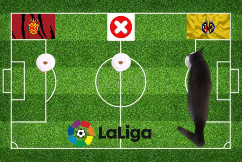 Mèo tiên tri dự đoán kết quả trận Villarreal vs Mallorca