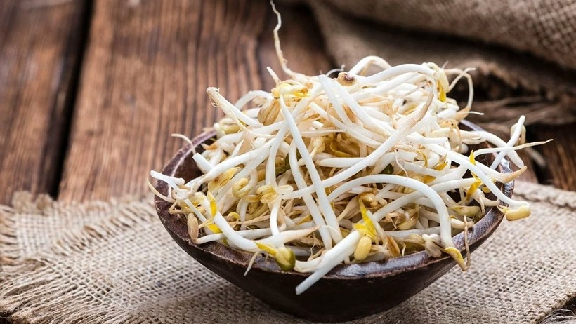 Các nghiên cứu cho thấy việc bổ sung giá đỗ vào chế độ ăn hàng ngày giúp tránh được tác hại của bệnh gan nhiễm mỡ.