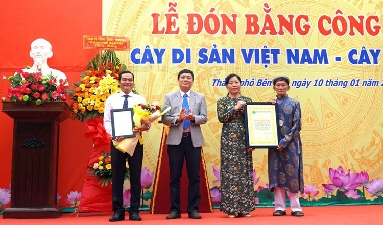 Trao quyết định công nhận cây thiên tuế là cây di sản Việt Nam.