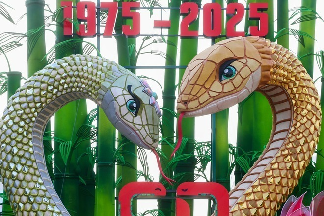 Ngân Tỵ (con cái) dài 25 m, Kim Tỵ (con đực) dài 42 m toàn thân uốn lượn 3 vòng đan xen lẫn nhau tạo thành đế rộng hơn 11 m.