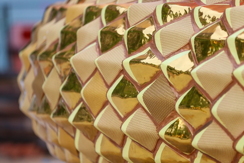 Vẩy của đôi linh vật