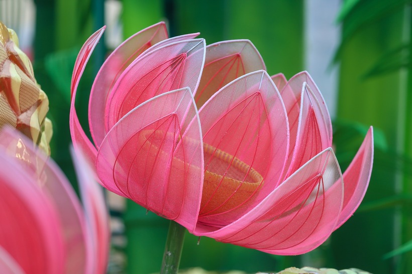 Đôi linh vật Kim Tỵ- Ngân Tỵ "khủng" trên Đường hoa Nguyễn Huệ có gì đặc biệt, khiến ai cũng trầm trồ? - 6