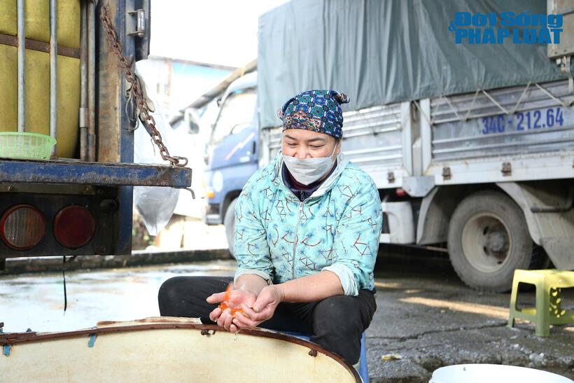Đến chợ cá Yên Sở mua khoảng 5kg cá chép về bán lẻ, bà Lê Ngoan (Thường Tín, Hà Nội) cho biết giá trung bình năm nay là 150 nghìn - 180 nghìn/kg với loại cá đẹp nhất, đắt gần gấp 3 lần so với năm ngoái chỉ 60 nghìn đồng/kg.