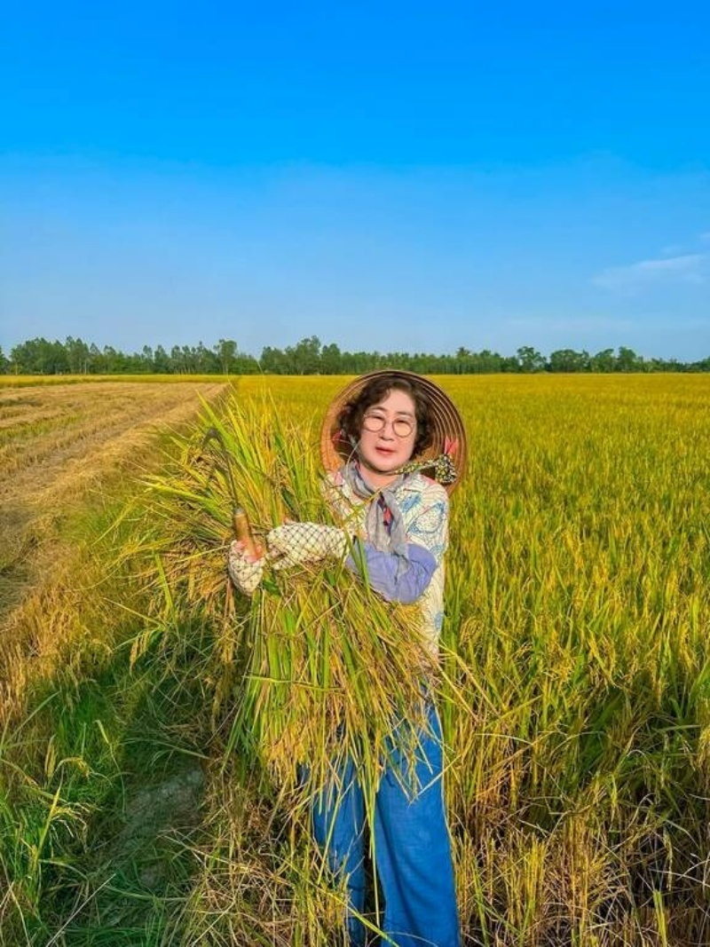 Mặc dù chưa từng làm nông, bà cũng rất xăm xắn lội ruộng cắt lúa. Ảnh: Báo Dân trí.