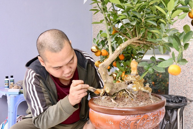 Anh Bùi Chí Nam - nghệ nhân cây cảnh cho biết trên Lao động, để hoàn thiện một cây quất dát vàng cần trải qua ba công đoạn chính là bôi keo, dát vàng và phủ bóng. Loại vàng được anh Nam sử dụng là lá vàng công nghiệp. Để hoàn thiện một cây quất dát vàng thường phải sử dụng từ 500 - 3.000 lá vàng, tuỳ kích thước cây. Giá bán mỗi chậu quất dát vàng dao động từ 2-4,5 triệu đồng/chậu tùy kích thước.